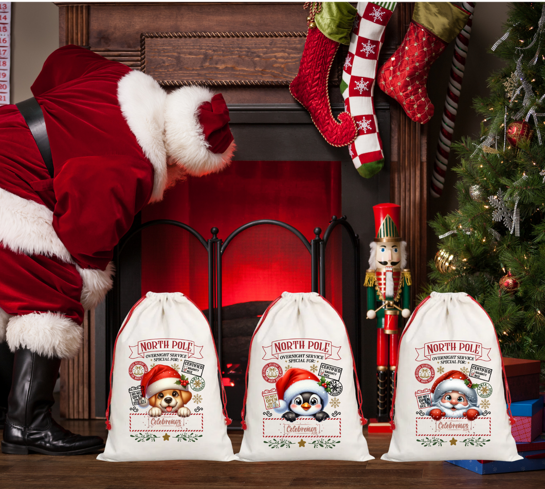 Santa Bag